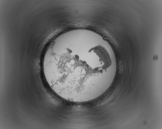 X0000101400634200807281003