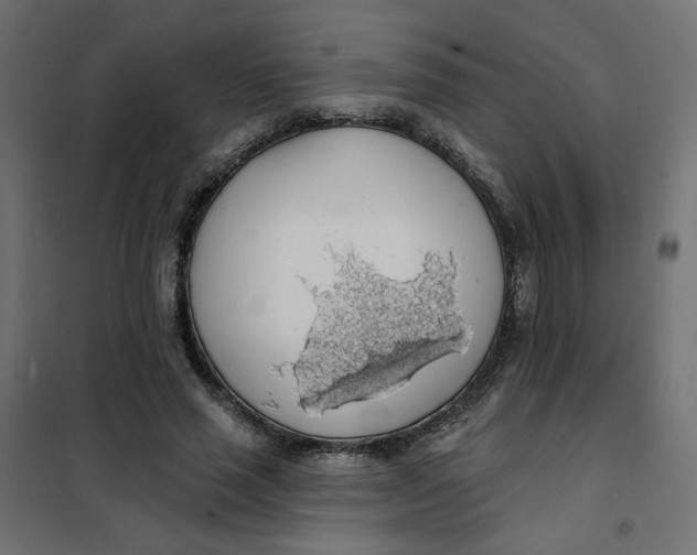 X0000101400637200807281003