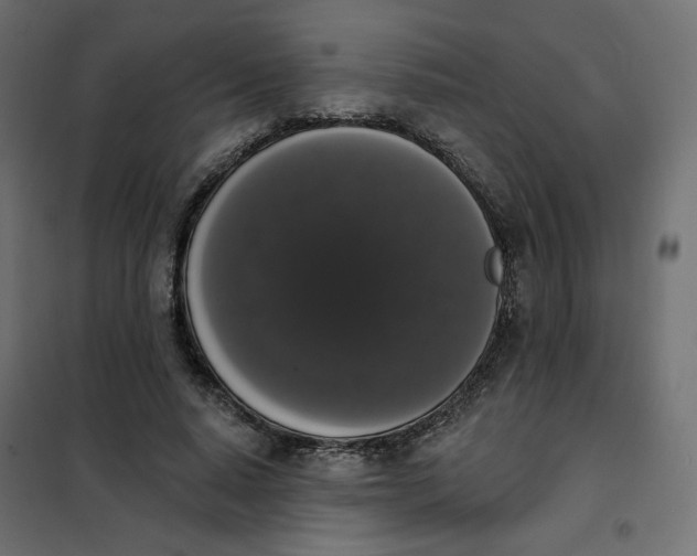 X0000101400640200807281003