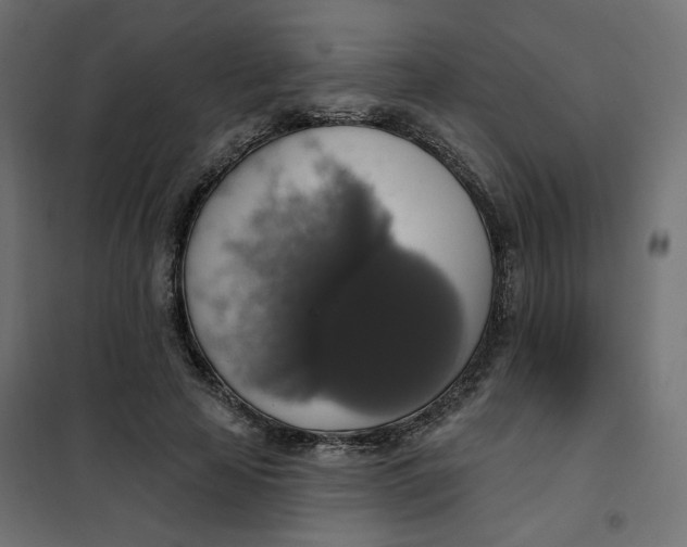 X0000101400641200807281003