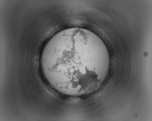 X0000101400642200807281003