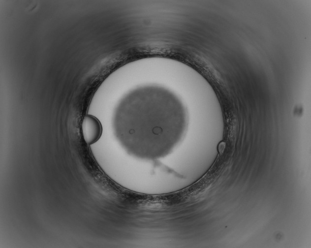 X0000101400643200807281003