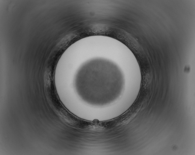 X0000101400644200807281003