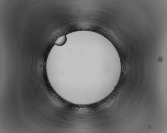 X0000101400645200807281003