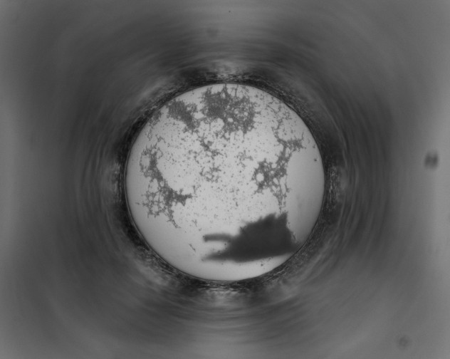 X0000101400650200807281003