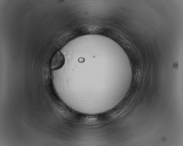 X0000101400651200807281003