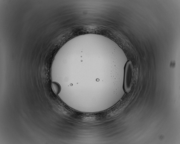 X0000101400653200807281003