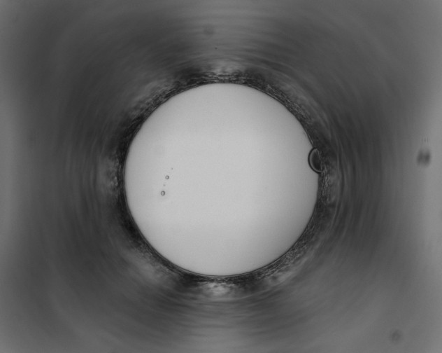 X0000101400654200807281003