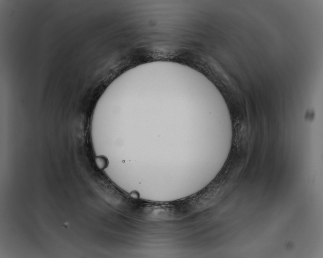 X0000101400655200807281003