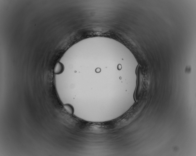 X0000101400657200807281003