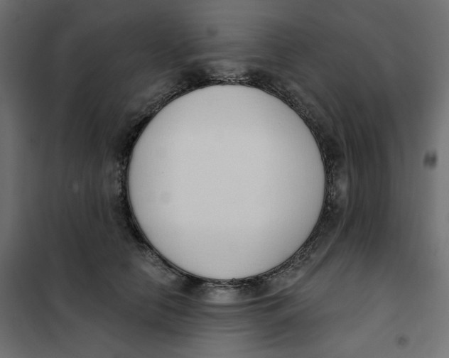 X0000101400658200807281003