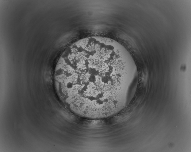 X0000101400663200807281003