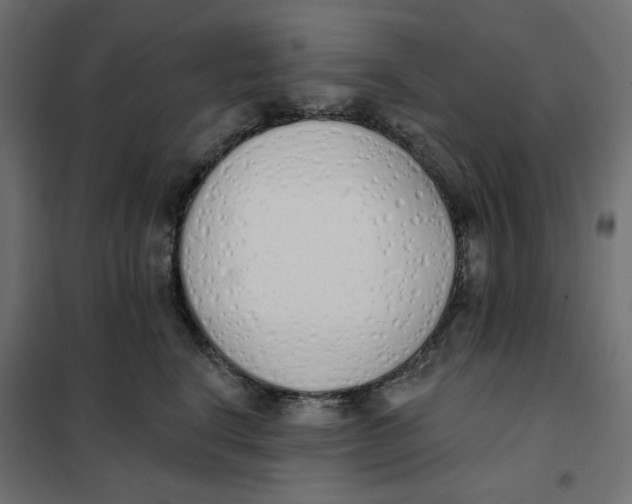 X0000101400664200807281003