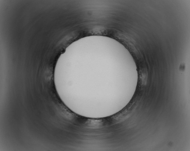 X0000101400665200807281003