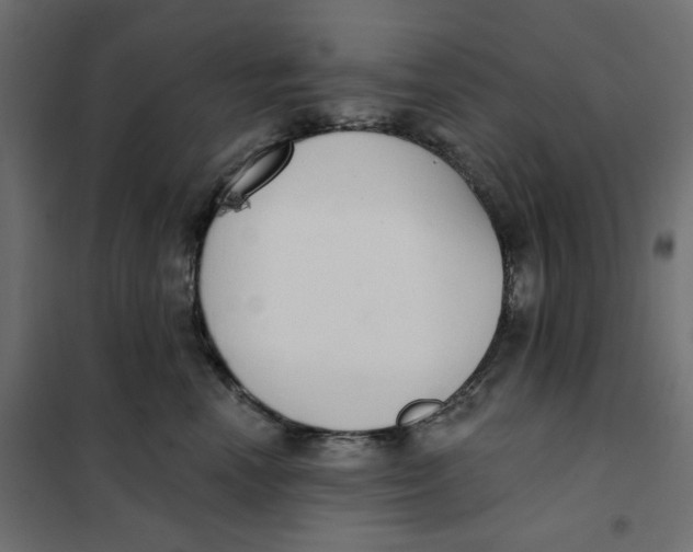 X0000101400666200807281003