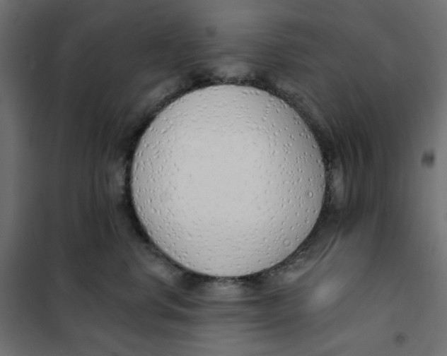 X0000101400668200807281003