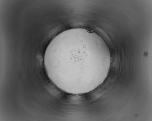 X0000101400669200807281003