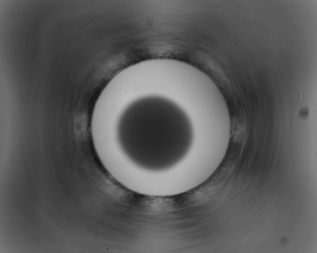 X0000101400670200807281003