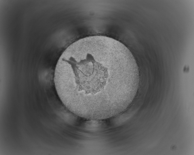 X0000101400672200807281003