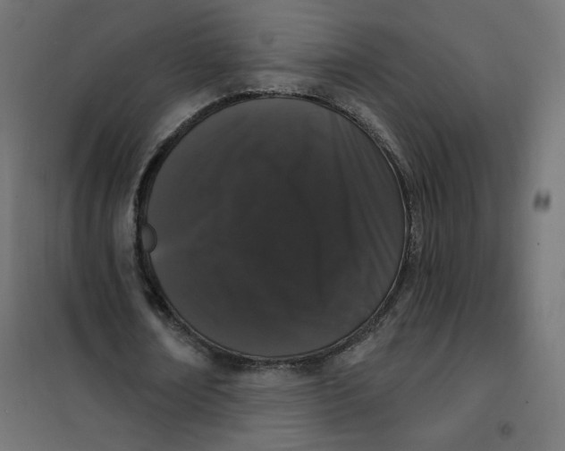 X0000101400674200807281002