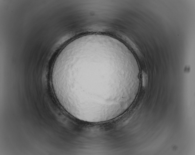 X0000101400675200807281002