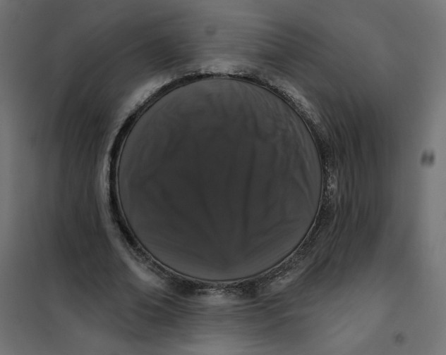 X0000101400678200807281002