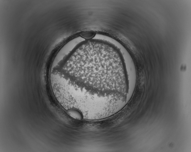 X0000101400680200807281002