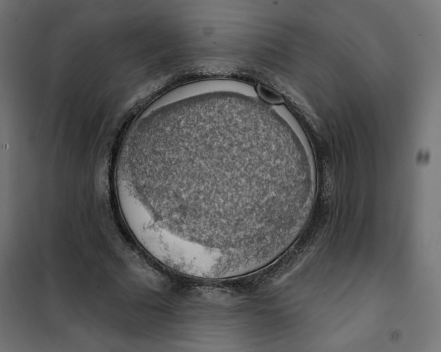 X0000101400681200807281002