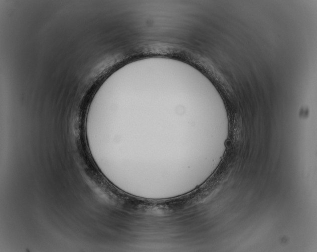 X0000101400683200807281002