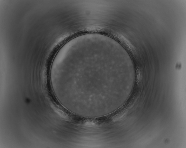 X0000101400684200807281002