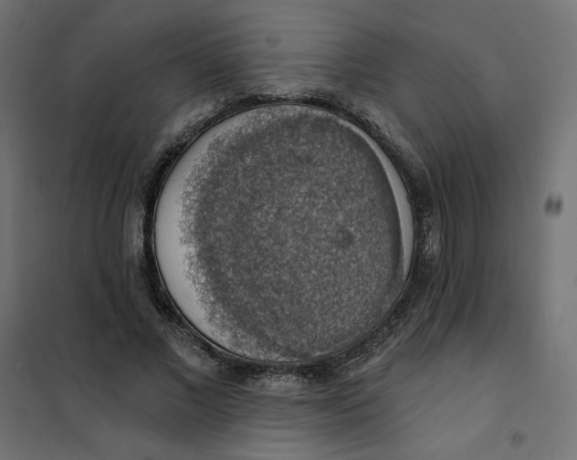 X0000101400685200807281002