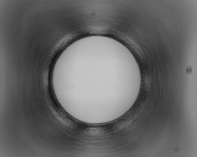 X0000101400686200807281002