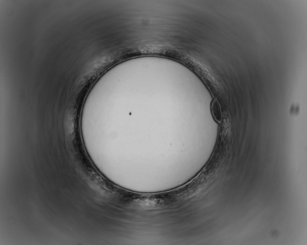 X0000101400687200807281002