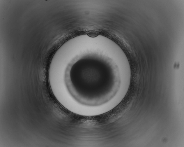 X0000101400689200807281002