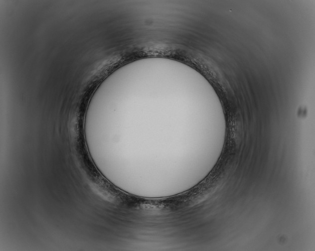 X0000101400690200807281002