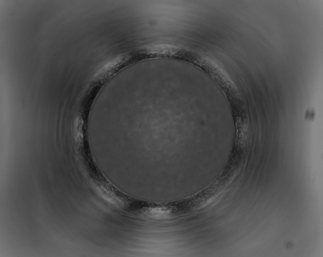 X0000101400692200807281002