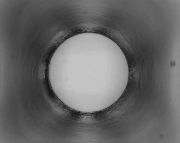 X0000101400694200807281002