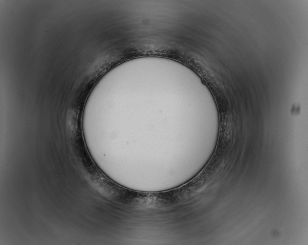 X0000101400695200807281002