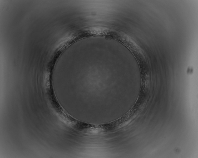 X0000101400696200807281002