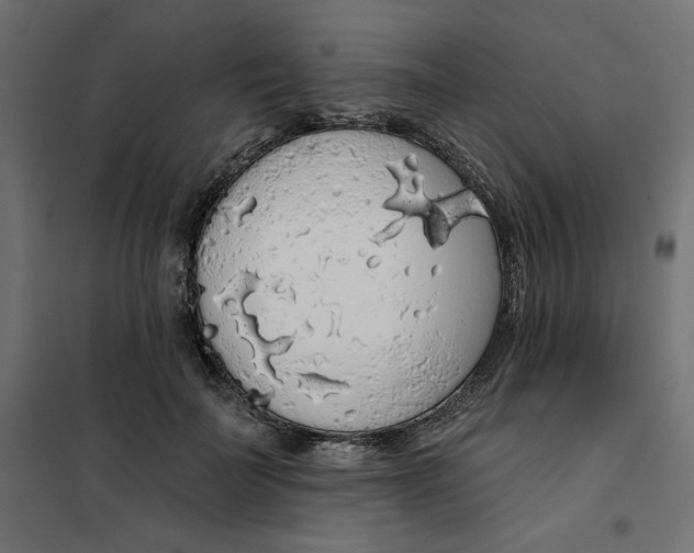 X0000101400699200807281002