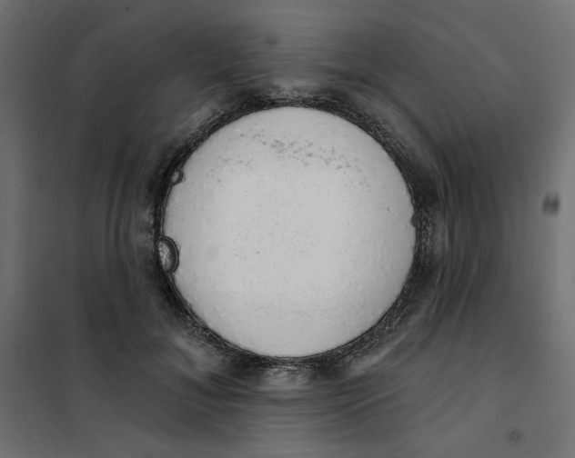 X0000101400700200807281002