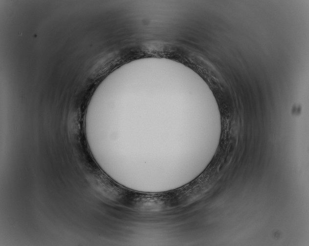 X0000101400702200807281002