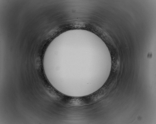 X0000101400704200807281002