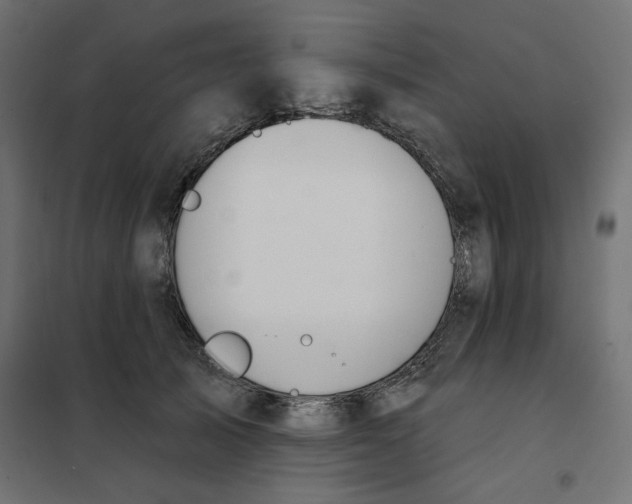 X0000101400705200807281002