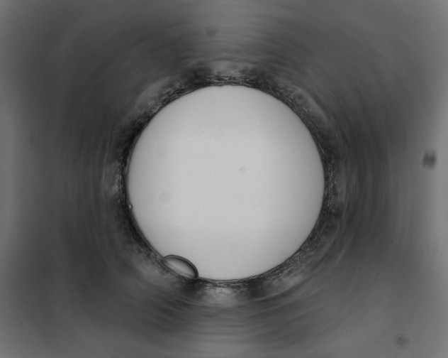 X0000101400706200807281002