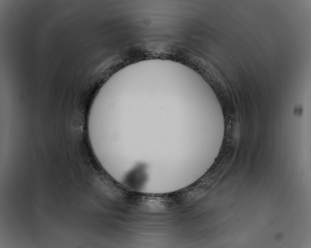 X0000101400710200807281002