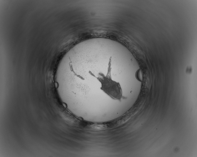 X0000101400711200807281002