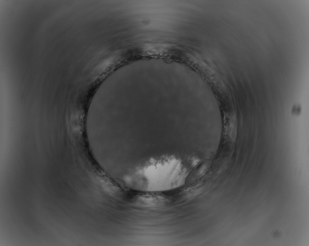 X0000101400712200807281002