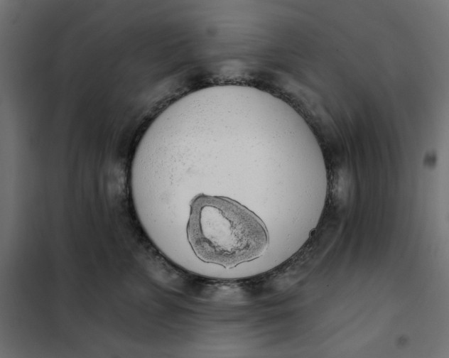 X0000101400715200807281002