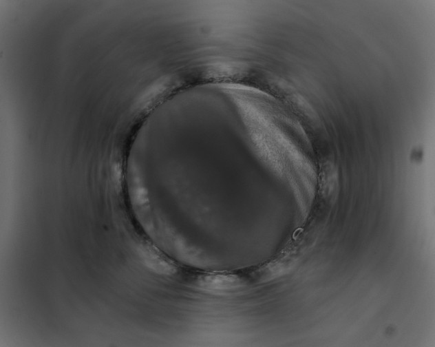 X0000101400716200807281002